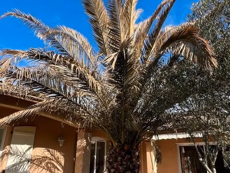 maison de plain-pied de 139 m² à launaguet : volume  calme et mobilité. (dpe c)