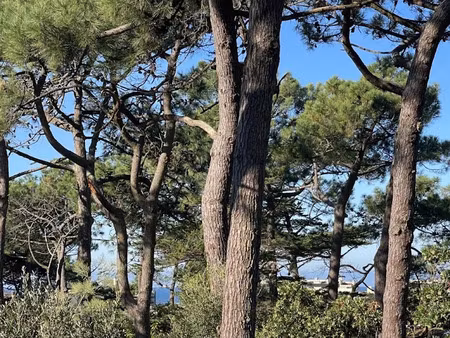 vente terrain 530 m² à lacanau (33680)  500 000 €