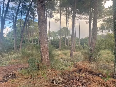 vente terrain 795 m² à lacanau (33680)  500 000 €