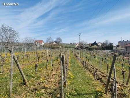 terrain prêt à construire
