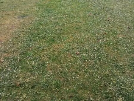 terrain 1 081 m² kerfourn