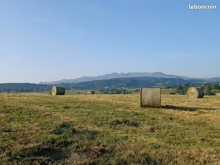 recherche terrain zone aop