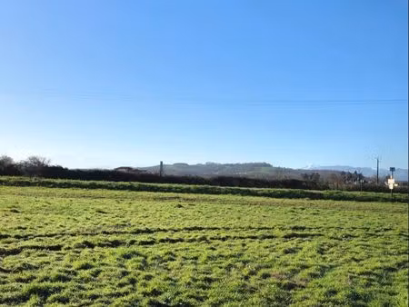 ◊ terrain sauveterre-de-béarn – 3 852 m² - projet familial  artisanal et/ou investisseur: 