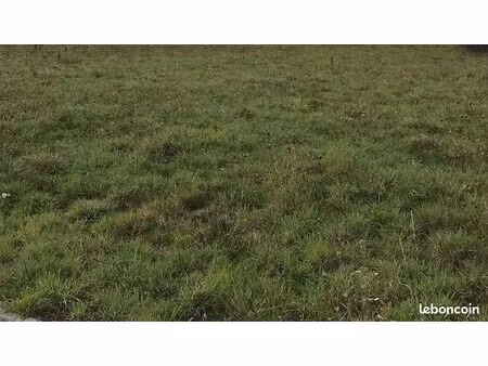 terrain 800 m² la sauvagere