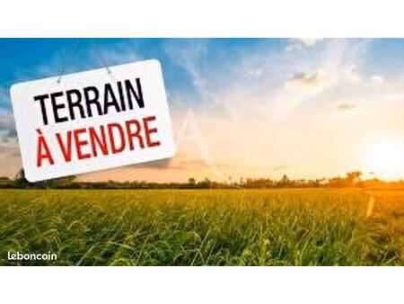 terrain constructible - 1000 m2