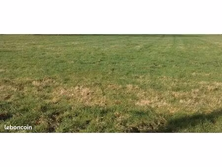 terrain 500 m² sarceaux