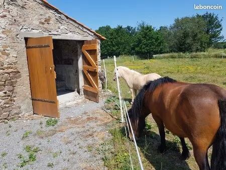 14m2 box de stockage ajustable  vidéo surveillance