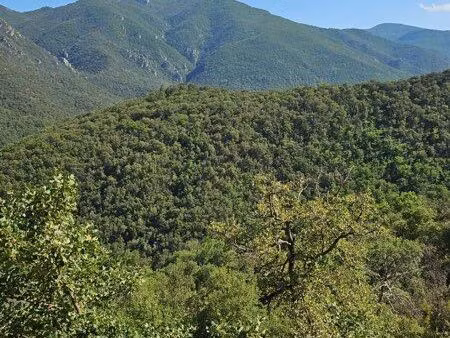 terrain agricole constructible