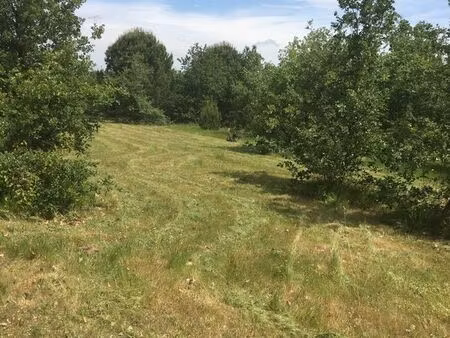 terrain agricole - 4 hectares constructible pour une activité agricole