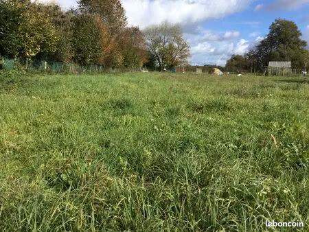 terrain constructible