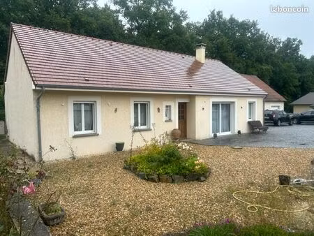 maison 5 pièces courtenay