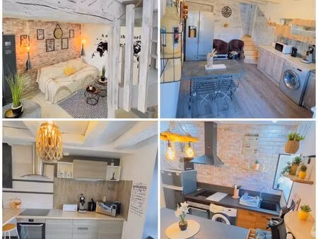 ensemble de 4 gîtes de charme – secteur châteaux de la loire – rentabilité premium