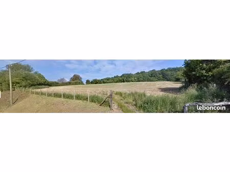 terrain constructible