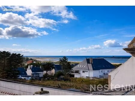 studio 1 pièce 25 m²