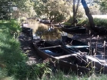 terrain boisé de 00 ha 18 a 60 ca