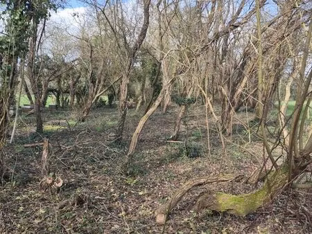 terrain 3880 m² lege