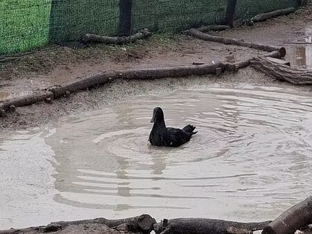 terrain de 1800 m2 proche nevers