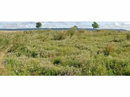 terrain 770 m² conde sur marne