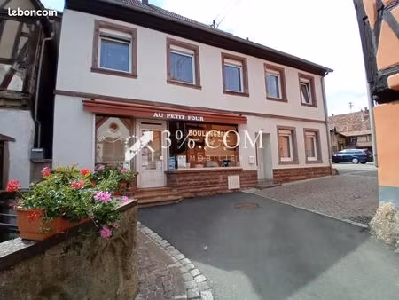 immeuble 222 m² heiligenstein