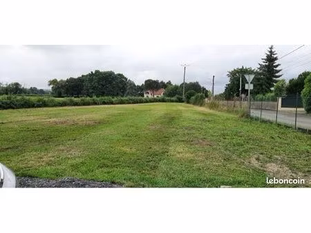 terrain constructible