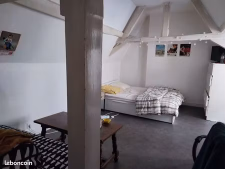 appartement hypercentre 30m2