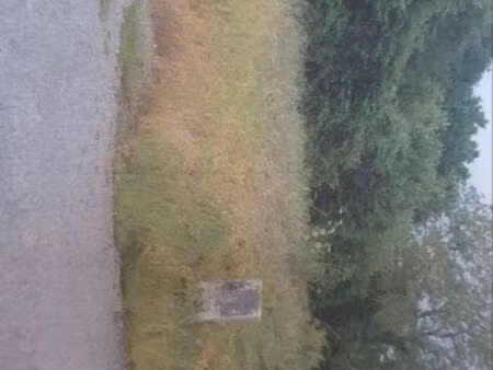 terrain construtible