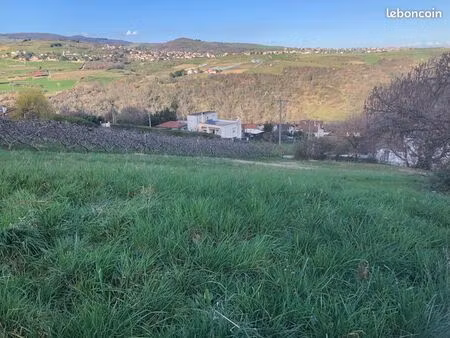 terrain constructible