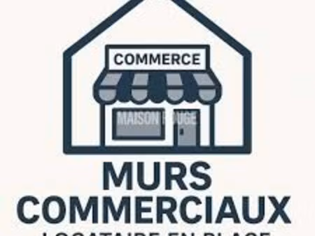 lot de 2 murs commerciaux avec locataires