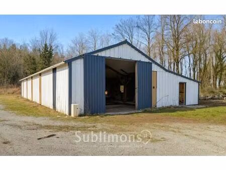 local 300 m² la croix-helléan