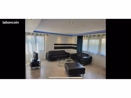 appartement  roanne centre-ville