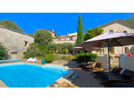 magnifique mas en pierre avec deux gîtes  piscine et vue exc