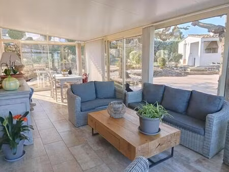 maison et grand terrain