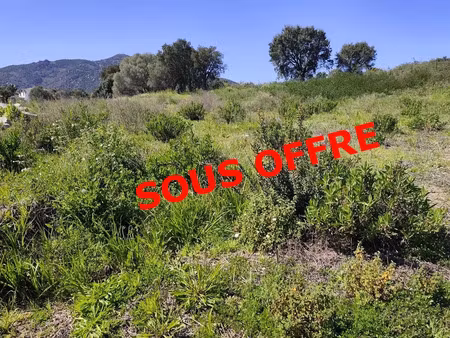 vente terrain 1037 m² ajaccio (20090)