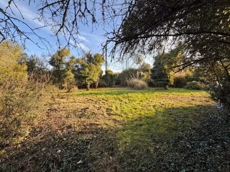 terrain constructible