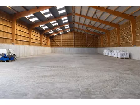 entrepôt - 1000m ²