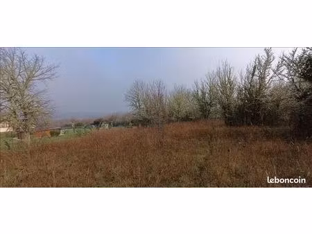 terrain 2 391 m² albas