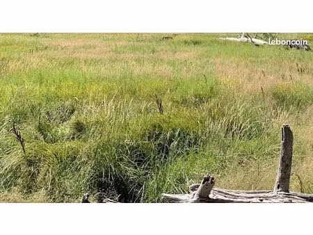 terrain 450 m² le taillan medoc