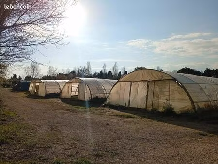 terrain agricole de 2 ha avec serres