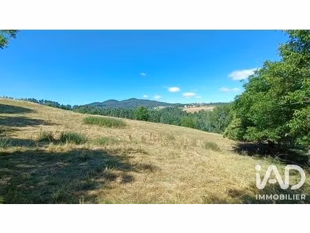 terrain à bâtir à beauzac (43590)