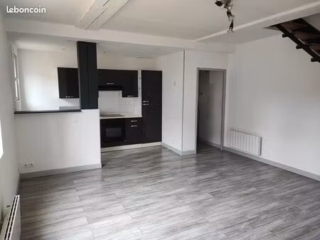 appartement duplex 53m2 avec 2 chambres
