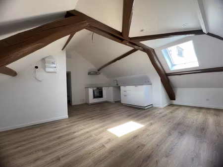 appartement entièrement rénové de 60 m2 au sol