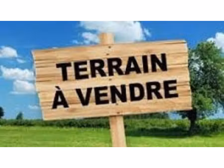 terrain constructible