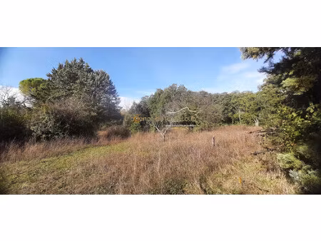 terrain constructible