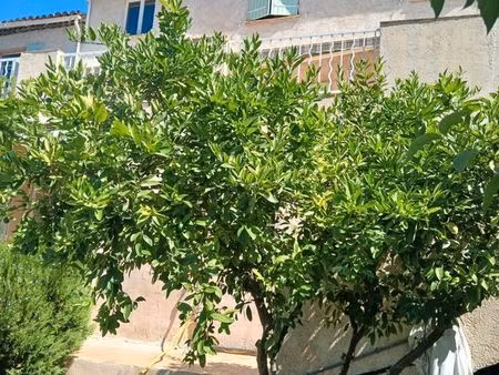 vente de particulier à particulier. agences s'abstenir