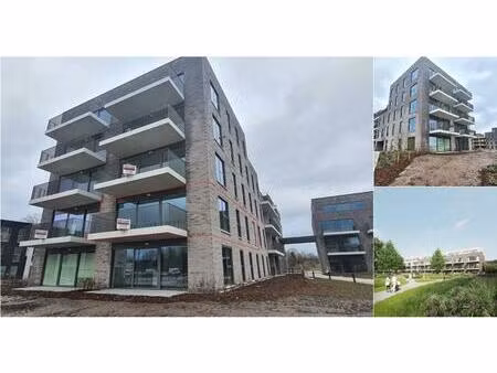 appartement à louer à jommekestraat 20 turnhout (rbv38091)