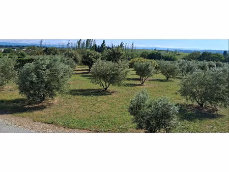 pezens   superbe terrain de loisir de plus 11000 m²