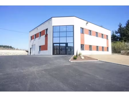 immeuble professionnel à destination mixte activité / bureaux vaugneray