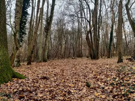 terrain à parmain (95620)