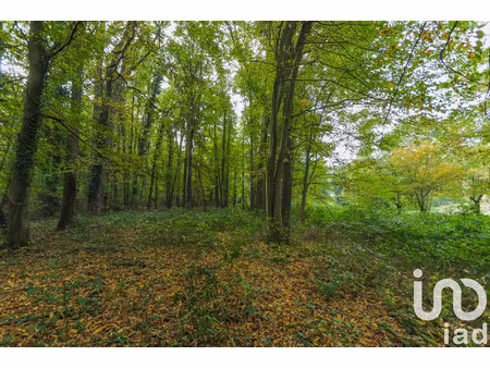 terrain à viarmes (95270)