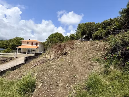 terrain à bâtir à le françois (97240)